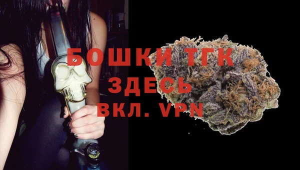 гашик Богородск