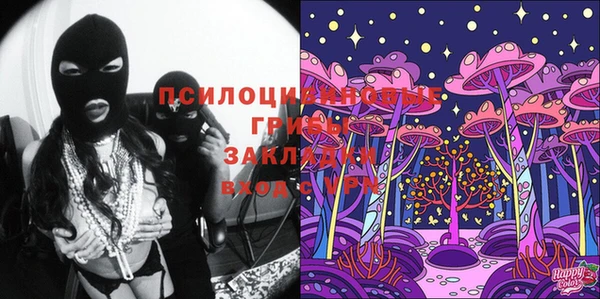 а пвп мука Богданович