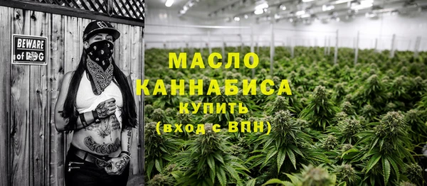 гидра Богородицк