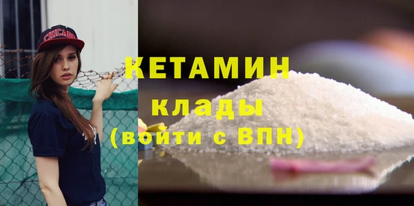 гидра Богородицк
