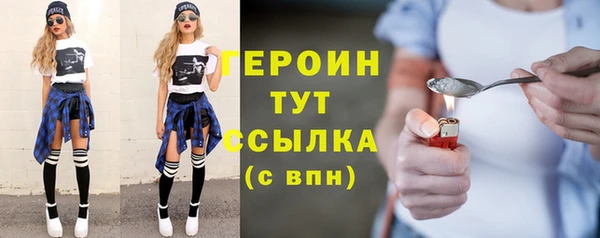 гидра Богородицк