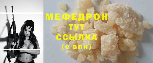 гидра Богородицк