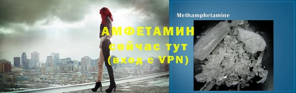 гидра Богородицк