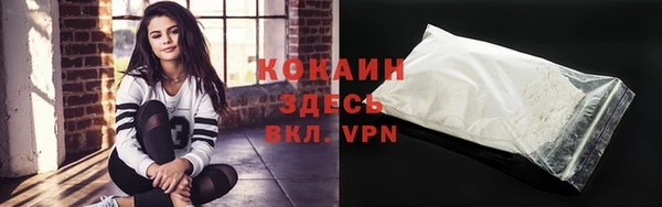гидра Богородицк