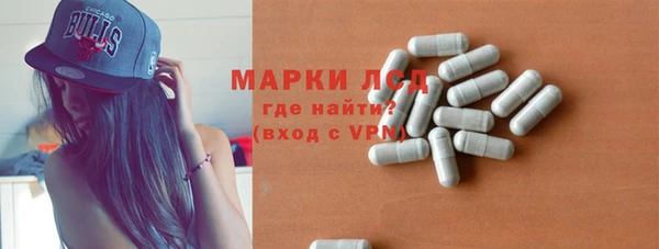 гидра Богородицк