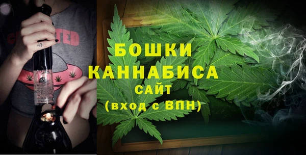 гашик Богородск