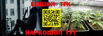 прущие грибы Балашиха