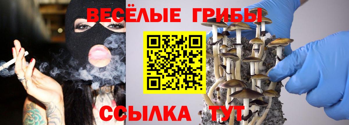 купить  сайты  Вход с VPN  Вичуга  Галлюциногенные грибы Psilocybine cubensis 